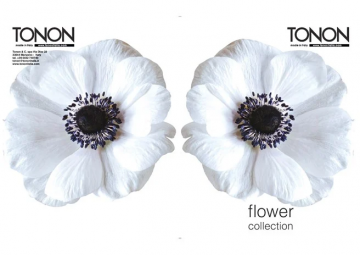 FLOWER COLLECTION (it, en)