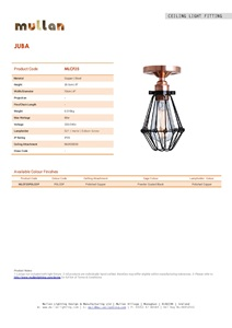 Juba Flush Cage Light (en)