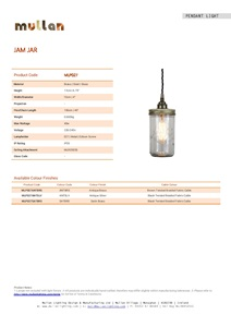 JAM JAR PENDANT LIGHT (en)