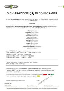 CE Declaration (it, en, fr, es)