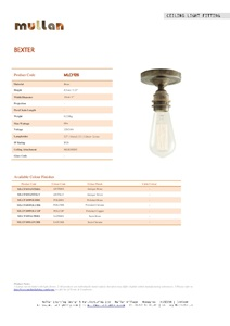 Bexter Vintage Flush Ceiling Light (en)