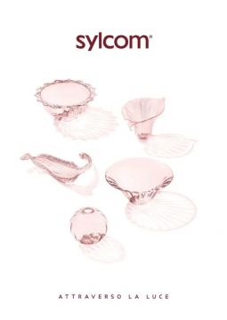 Sylcom catalogue 2020 (it, en)